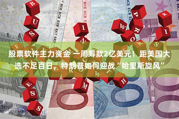 股票软件主力资金 一周筹款2亿美元！距美国大选不足百日，特朗普如何迎战“哈里斯旋风”