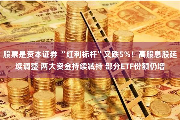 股票是资本证券 “红利标杆”又跌5%！高股息股延续调整 两大资金持续减持 部分ETF份额仍增