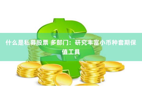 什么是私募股票 多部门：研究丰富小币种套期保值工具