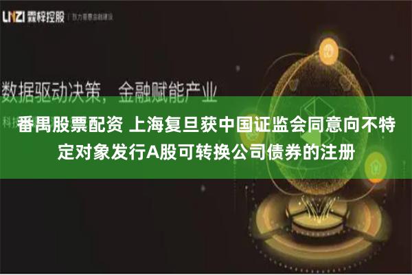 番禺股票配资 上海复旦获中国证监会同意向不特定对象发行A股可转换公司债券的注册