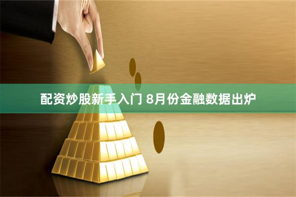 配资炒股新手入门 8月份金融数据出炉