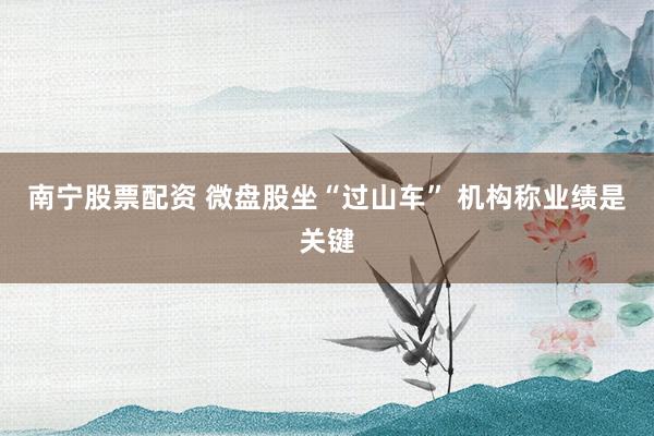 南宁股票配资 微盘股坐“过山车” 机构称业绩是关键